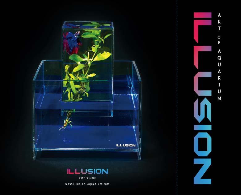 ILLUSION